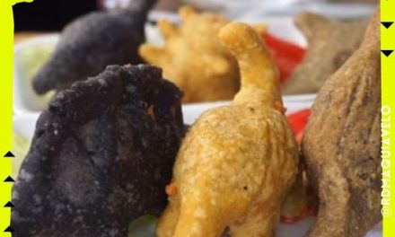 ¿YA ESCUCHASTE SOBRE LAS DINOQUESADILLAS?, AQUÍ TE LAS PRESENTAMOS