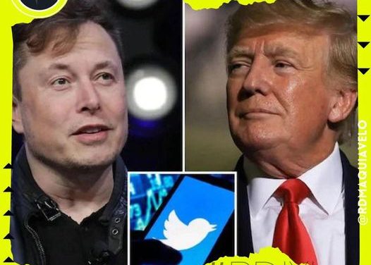 RESPETA ELON MUSK VOTOS DE USUARIOS Y RESTAURARA CUENTA DE TWITTER A DONALD TRUMP