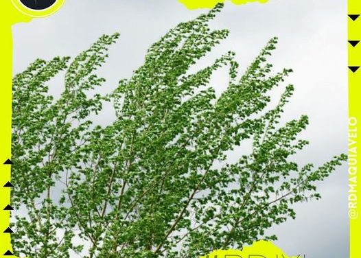 FUERTES RACHAS DE VIENTO SE APROXIMAN PARA NUEVO LEÓN