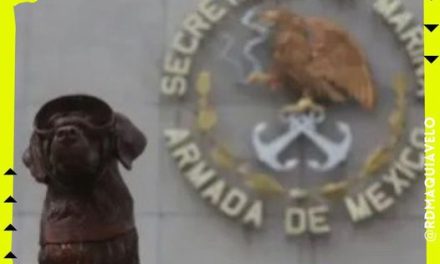 SECRETARÍA DE LA MARINA SE DESPIDE DE FRIDA, LA PERRITA RESCATISTA