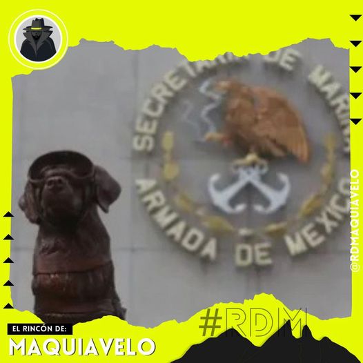 SECRETARÍA DE LA MARINA SE DESPIDE DE FRIDA, LA PERRITA RESCATISTA