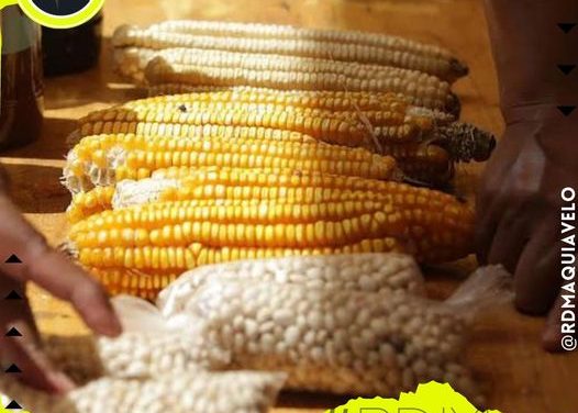 AMLO NIEGA CEDER ANTE PRESIÓN DE ESTADOS UNIDOS POR EL MAÍZ