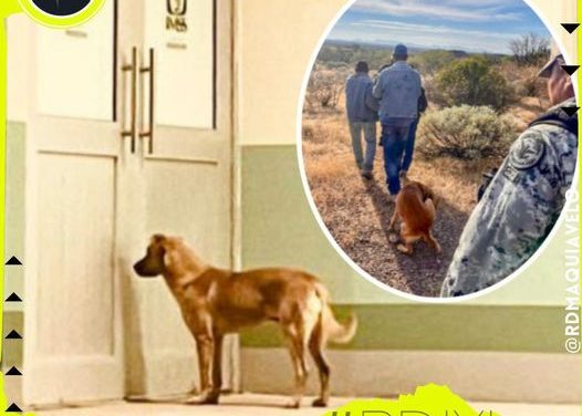 DESAPARECE PERSONA DE LA TERCERA EDAD Y ES LOCALIZADO POR LA FISCALÍA CON AYUDA DE SU MASCOTA “EL PALOMO” QUIEN RASTREÓ SU OLOR