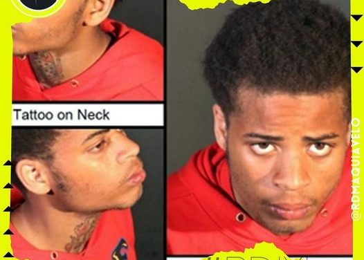 ¡ENTÉRATE! HOMBRE QUE ROBÓ PERROS DE LADY GAGA ALCANZARÁ 21 AÑOS DE CÁRCEL