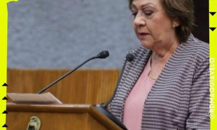 DIPUTADA GUADALUPE GUIDI PIDE A PROFECO INFORMAR SOBRE ACCIONES EN CASO DE SER ESTAFADO CON BOLETOS FALSOS