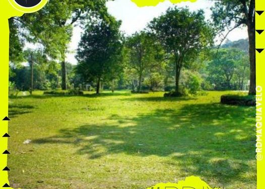 SECRETARÍA DE MEDIO AMBIENTE VA POR UN NUEVO LEÓN MÁS VERDE