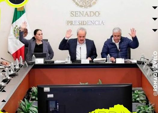 LA CÁMARA ALTA DE LA REPÚBLICA APRUEBA CON SEIS VOTOS A FAVOR EL LLAMADO “PLAN B”