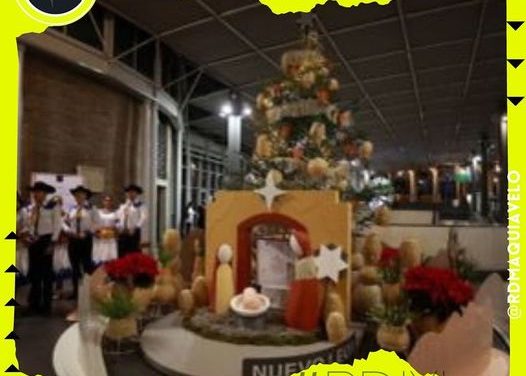 SE INAUGURA PINO Y NACIMIENTO DE NUEVO LEÓN EN EL VATICANO