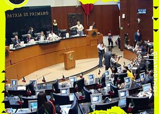 EL SENADO APRUEBA LOS 12 DÍA DE VACACIONES CON LIBERTAD PARA EL TRABAJADOR DE ELEGIR SI SON CONTINUOS