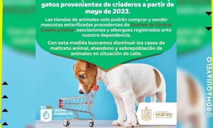 SE ACABÓ LA VENTA DE PERROS Y GATOS DE CRIADERO EN NUEVO LEÓN