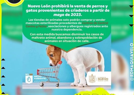 SE ACABÓ LA VENTA DE PERROS Y GATOS DE CRIADERO EN NUEVO LEÓN