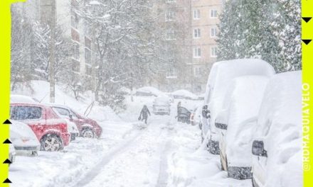 DECLARAN EN NUEVA YORK EMERGENCIA POR ONDA GÉLIDA Y MUERTE DE 30 PERSONAS