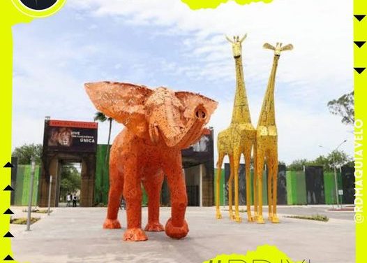 PARQUE LA PASTORA DONA 38 ANIMALES POR SOBREPOBLACIÓN