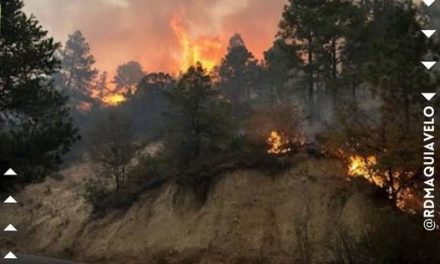 SE PROHÍBE EL USO DE FUEGO EN LAS SIERRAS PARA EVITAR INCENDIOS FORESTALES