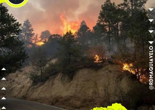 SE PROHÍBE EL USO DE FUEGO EN LAS SIERRAS PARA EVITAR INCENDIOS FORESTALES