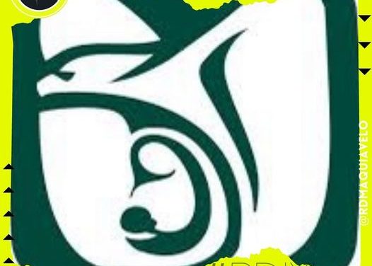 TENDRÁ ALMACEN REGIONAL DEL IMSS REMODELACIÓN ESTE AÑO PARA BENEFICIO DE TODOS