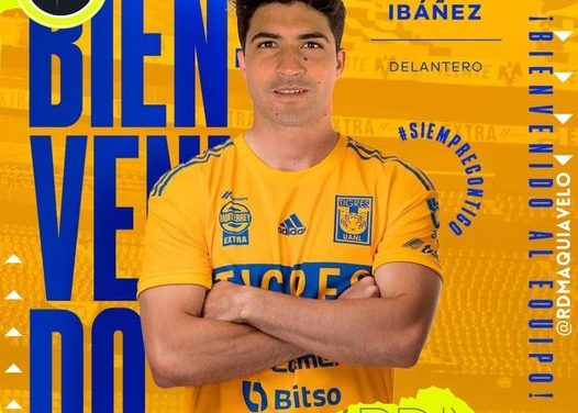 TIGRES HACE OFICIAL EL FICHAJE DE NICO IBÁÑEZ