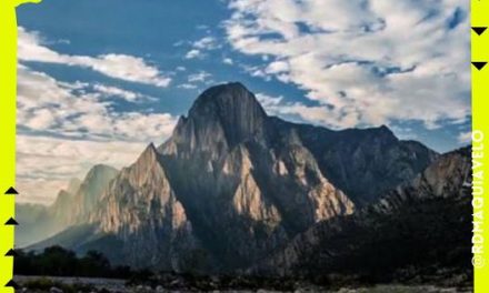 SE RESTAURA DE MANERA NATURAL DESPUÉS DEL INCENDIO EL PARQUE NACIONAL CUMBRES