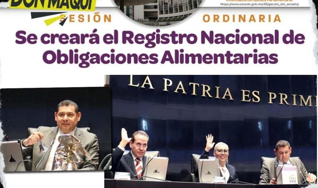 SE APRUEBA UN REGISTRO NACIONAL DE DEUDORES DE PENSIÓN ALIMENTICIA.