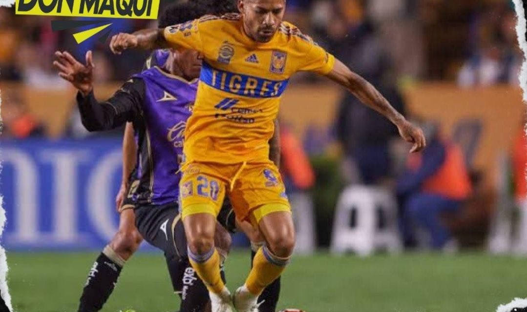 TIGRES SIGUE SIN DESPERTAR EN CASA.