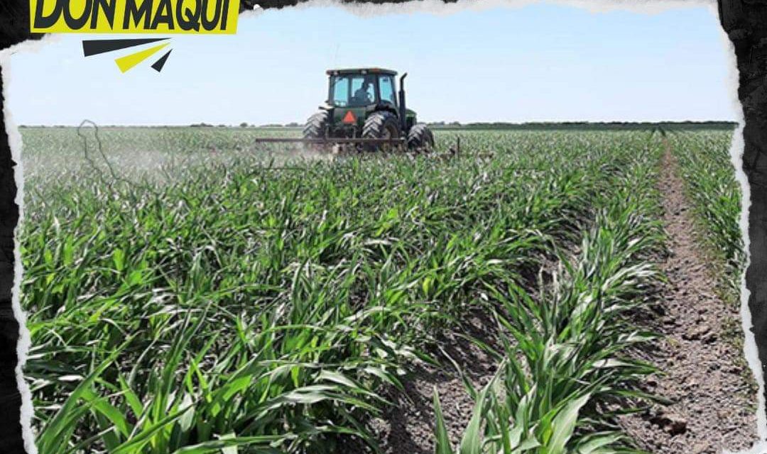 CRITICAN DURAMENTE ANTICIPARSE A DESCARTAR TRASVASE DE AGUA