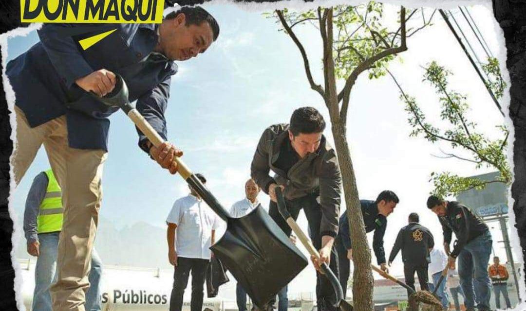 SANTA CATARINA SIEMBRA MÁS DE 3 MIL ÁRBOLES