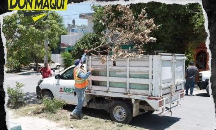 MUNICIPIO DE JUÁREZ A CARGO DE PACO TREVIÑO, TRABAJA PARA TENER LIMPIAS SUS COLONIAS