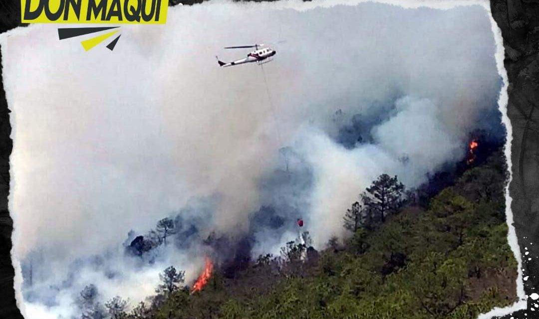 INCENDIO EN ITURBIDE AÚN NO LOGRA SER SOFOCADO