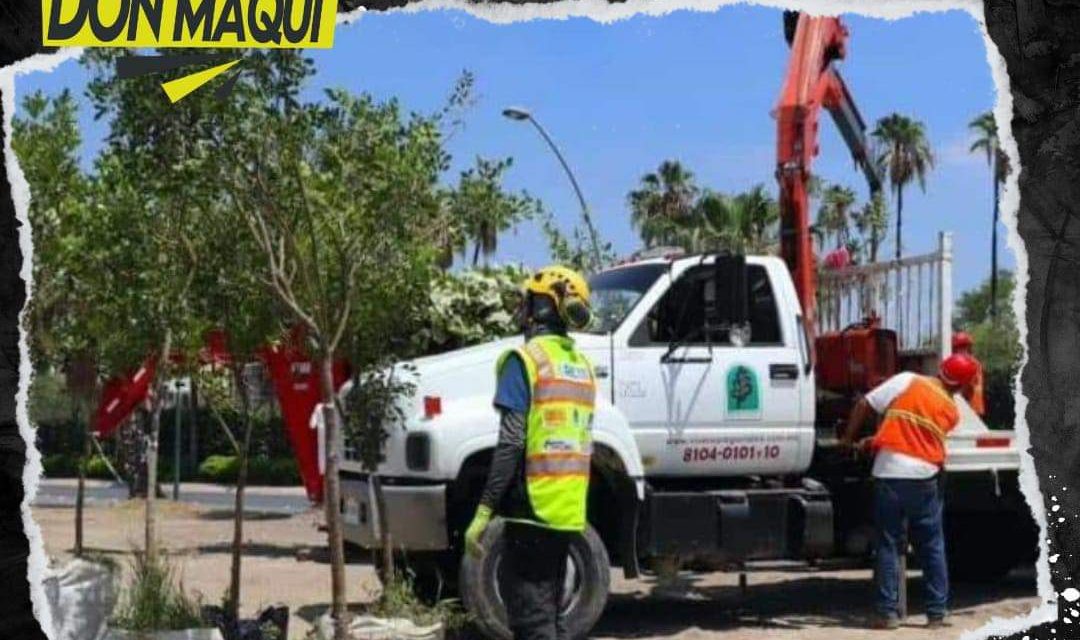 NUEVO LEÓN REALIZA UN PLAN MAESTRO DE CALIDAD DE AIRE