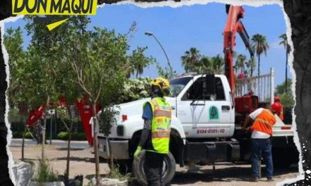 NUEVO LEÓN REALIZA UN PLAN MAESTRO DE CALIDAD DE AIRE