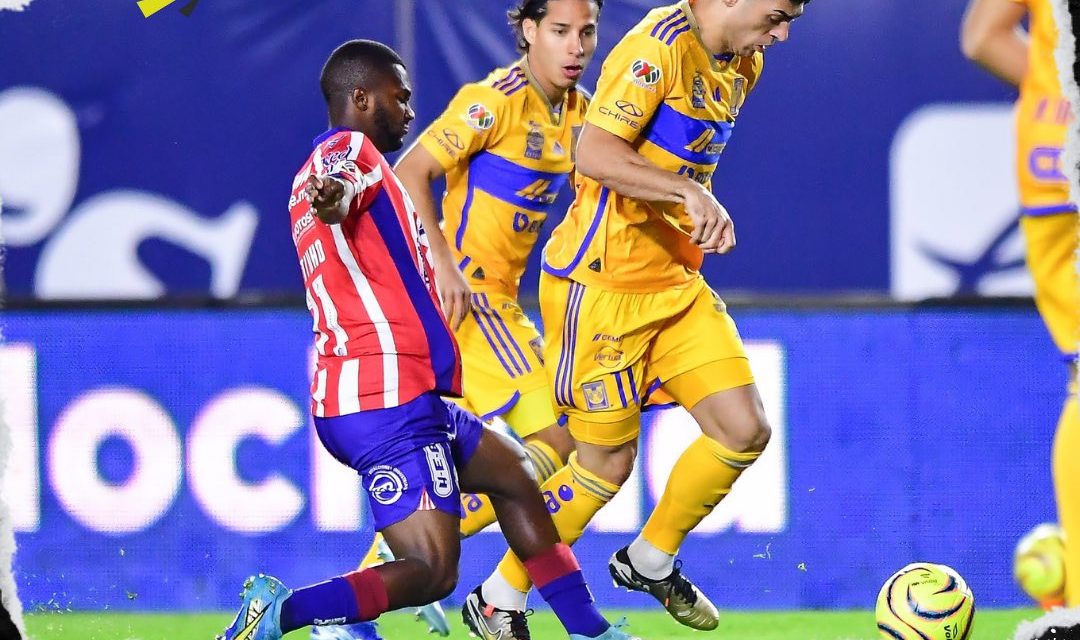 TIGRES REMONTA EL RESULTADO Y SON SUPERLÍDERES MOMENTÁNEAMENTE 