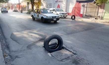 BUSCARÁN CON NUEVA REFORMA RESOLVER PROBLEMAS AMBIENTALES