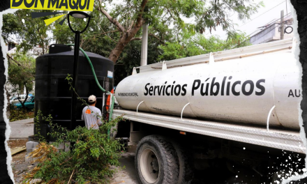 EN SANTA CATARINA AVANZAN POSITIVAMENTE EN EL RESTABLECIMIENTO DEL AGUA Y LA LUZ