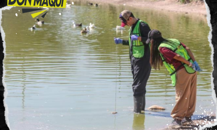 FILO VERDE SOLICITA QUE COMUNIDAD UNIVERSITARIA SE CONVIERTA EN ECO LIDER