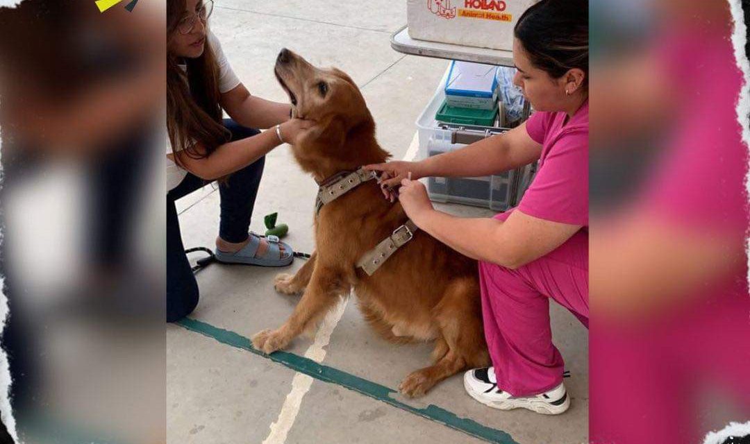 EL MUNICIPIO DE GARCÍA LLEVA A CABO BRIGADA DE SALUD CANINA