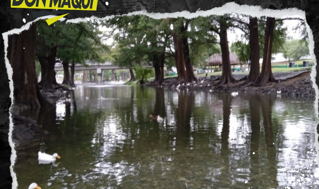 EL RÍO LA SILLA NUEVAMENTE REVIVE