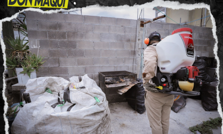 INTENSIFICA SECRETARÍA DE SALUD ACCIONES PARA PREVENIR EL DENGUE ANTE PRONÓSTICOS DE LLUVIA EN NUEVO LEÓN