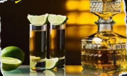 GANAN POPULARIDAD EL MEZCAL Y TEQUILA MEXICANOS EN ESTADOS UNIDOS