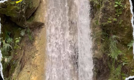 LAS CASCADAS DEL CERRO DE LA SILLA RECOBRAN VIDA GRACIAS A “ALBERTO”