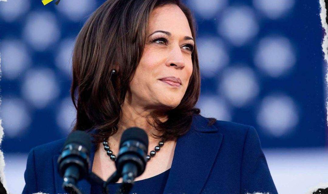 KAMALA HARRIS ALCANZA LOS DELEGADOS NECESARIOS PARA COMPETIR POR LA PRESIDENCIA DE ESTADOS UNIDOS