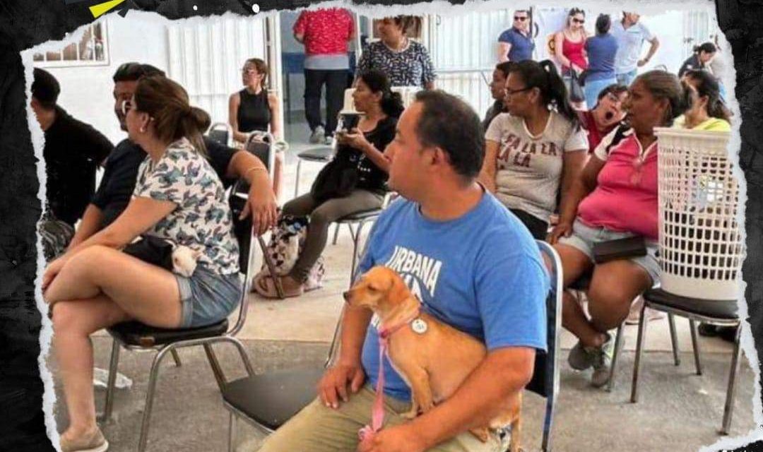 BRIGADA DE SALUD PREVENTIVA PARA MASCOTAS BENEFICIA A 160 ANIMALES EN GARCÍA