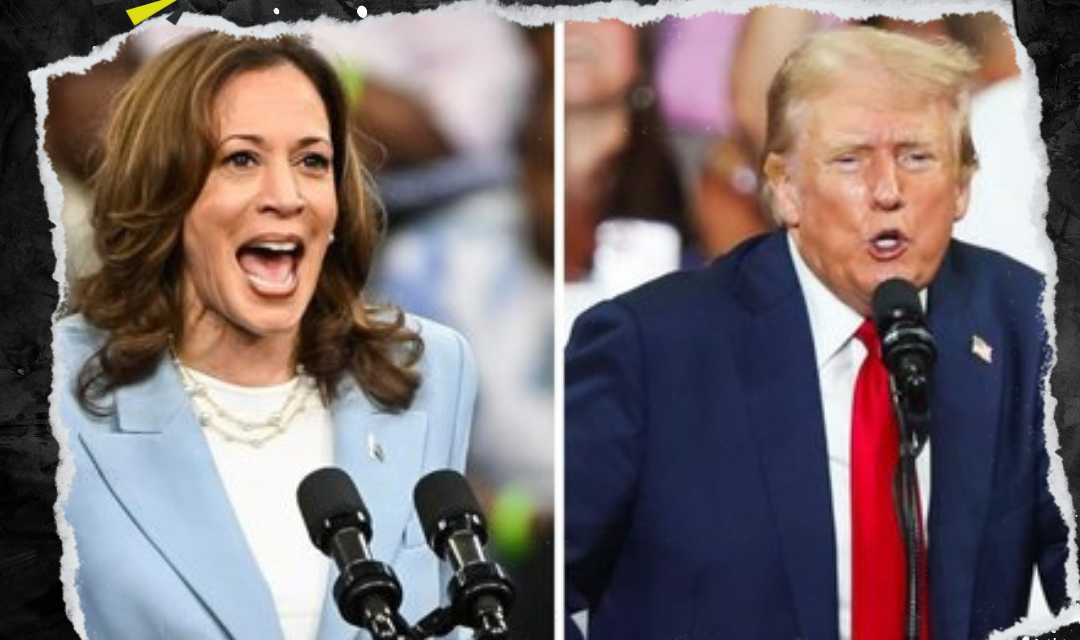 KAMALA HARRIS TIENE LIGERA VENTAJA SOBRE DONALD TRUMP EN ENCUESTA NACIONAL