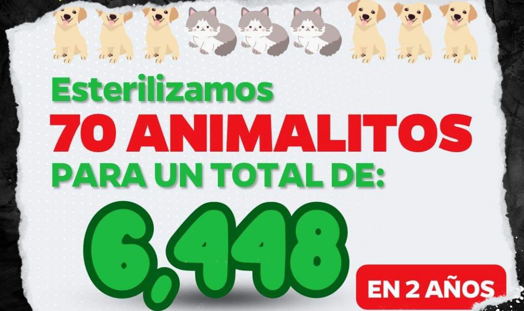 APODACA IMPULSA BIENESTAR ANIMAL CON VACUNACIÓN Y CAMPAÑA DE ESTERILIZACIÓN