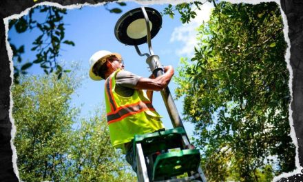 MONTEMORELOS REFUERZA SEGURIDAD CON NUEVAS LUMINARIAS LED EN PLAZAS Y PARQUES