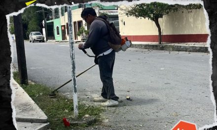 GOBIERNO DE GENERAL TERÁN MANTIENE LIMPIAS LAS ÁREAS VERDES