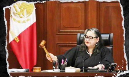 NORMA PIÑA TURNA 3 NUEVAS CONSULTAS SOBRE LA REFORMA JUDICIA