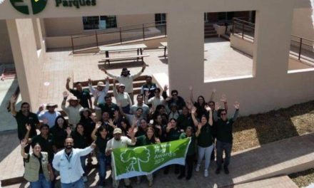 SAN PEDRO PARQUES LOGRA DISTINCIÓN INTERNACIONAL GREEN FLAG AWARD PARA OCHO PARQUES URBANOS