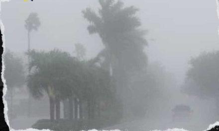 HURACÁN MILTON TOCA TIERRA EN FLORIDA CON VIENTOS DE 205 KM/H