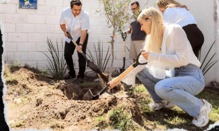 JESÚS NAVA PLANTARÁ 5 MIL ÁRBOLES PARA EN SANTA CATARINA