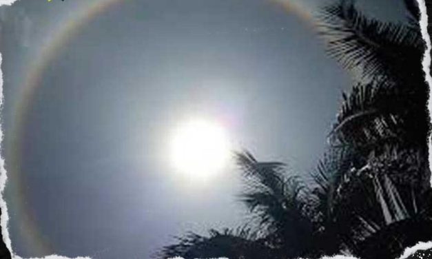 LAS CABAÑUELAS SON UN MÉTODO PARA PREDECIR EL CLIMA